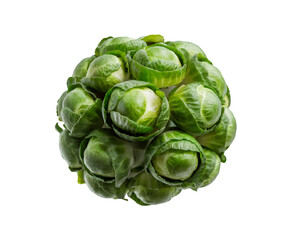 Fototapeta premium Compact Brussels Sprout isolated on transparent background Ai generative.