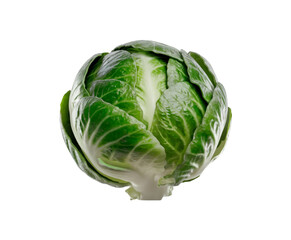 Fototapeta premium Compact Brussels Sprout isolated on transparent background Ai generative.