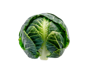 Obraz premium Compact Brussels Sprout isolated on transparent background Ai generative.