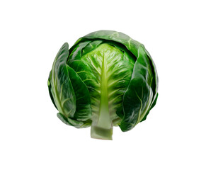 Fototapeta premium Compact Brussels Sprout isolated on transparent background Ai generative.