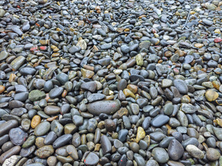gravel in the yard or garden