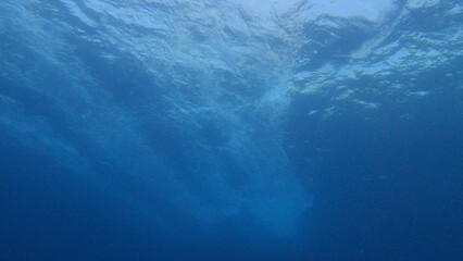 Fototapeta premium Underwater Light in the Deep Blue