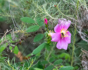 Beautiful fall scene from a natural marsh