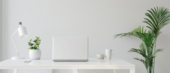 Minimalist office with a white desk, sleek laptop, and a small plant, clean and organized, easy on the eyes