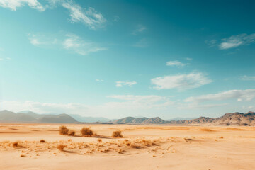 Desert landscape with few bushes and mountains in the distance.