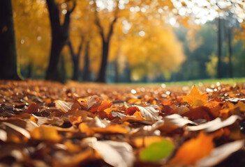 A serene autumn scene with fallen leaves covering the ground in a park. The background features trees with golden foliage, and the sunlight filters through the branches, creating a warm atmosphere.