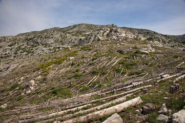 Mediterranean mountain landscape with downed trees