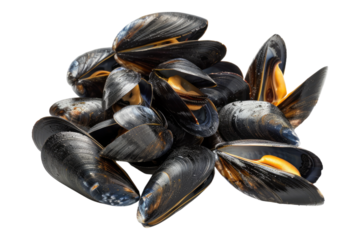 Steamed mussels isolated on a white background