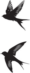 Set of black silhouettes of bird swallow 