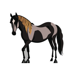 Horse Vector Illustration File Digital Download