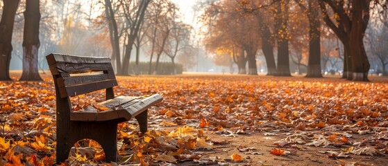 City park in autumn with an isolated brown backdrop and ample space for text at the top