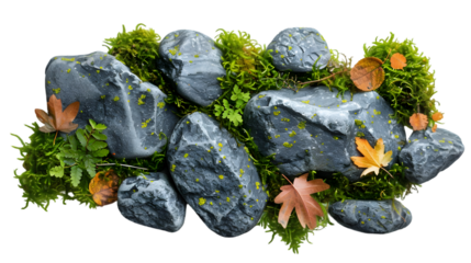 top view of stones surrounded by moss and autumn grass isolated on a transparent background