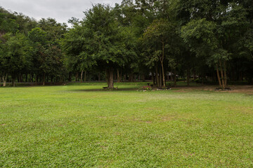 Camping zone alongside the lake at Namtok Samlan National Park in Saraburi Thailand