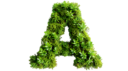Green moss in shape alphabet letter A isolated on a transparent background