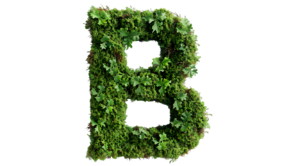 Green moss in shape alphabet letter B isolated on a transparent background