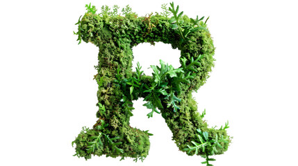 Green moss in shape alphabet letter R isolated on a transparent background