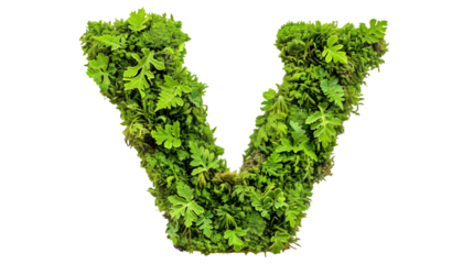 Green moss in shape alphabet letter V isolated on a transparent background