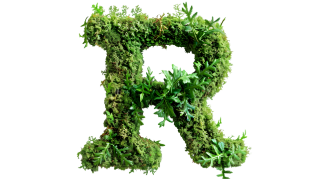 Green moss in shape alphabet letter R isolated on a transparent background