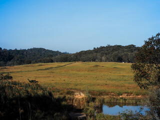 Obraz premium View of meadows on the mountains in the morning, good atmosphere. 