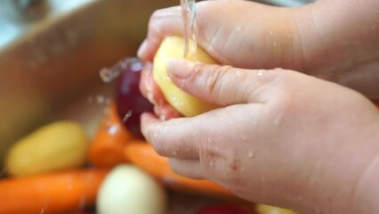 Vegetables in the sink, hands wash vegetables under a stream of water from a tap. Preparation Ukrainian borscht, peeled carrots, beets, and potatoes are seen being washed in a sink.