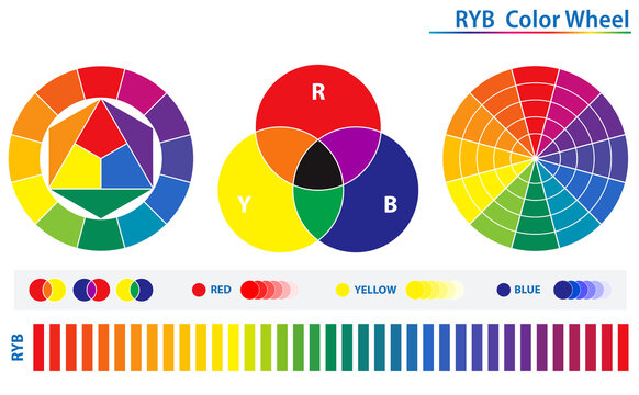 Set of color palette diagram isolated. 3D Illustration
