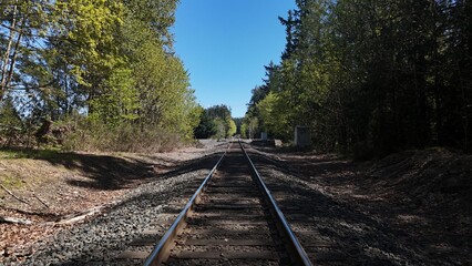 Fototapeta premium default