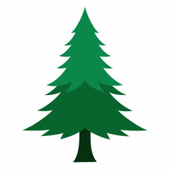 Pine tree vector illustration 