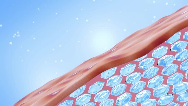 Essence drops in transparent bubbles fall from the dropper tube, gradually penetrating the skin layer for improved skin. 3d rendering for cosmetic advertising, improving acne, increasing elasticity