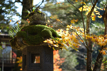 Antique lanterns depicting a Japanese garden with moss on top and maple leaves in autumn.