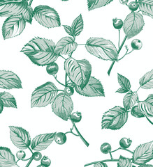 a drawing of leaves and berries on a white background