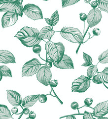 Fototapeta premium a drawing of leaves and berries on a white background