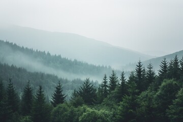 A peaceful gradient from forest green to mountain gray, mirroring the natural transition found in a misty mountain range. 32k, full ultra hd, high resolution