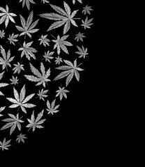 Banner, template with black and white triangle of Cannabis indica, Marijuana medicinal plant. Watercolor illustration