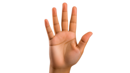 A hand raised in victory with fingers extended isolated on transparent and white background.PNG image.	