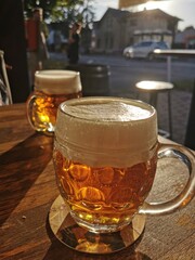 czech beer in the garden restaurant