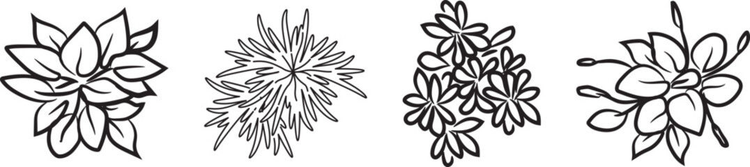 Illustration of a potted plant, rubber fig, Dieffenbachia seguine, Yucca Gigantea Elephantipes plant from a hand-drawn top view