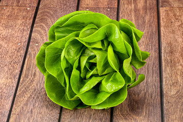 Butter lettuce salad green  leaves