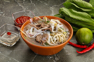Vietnamese soup Pho Bo with beef