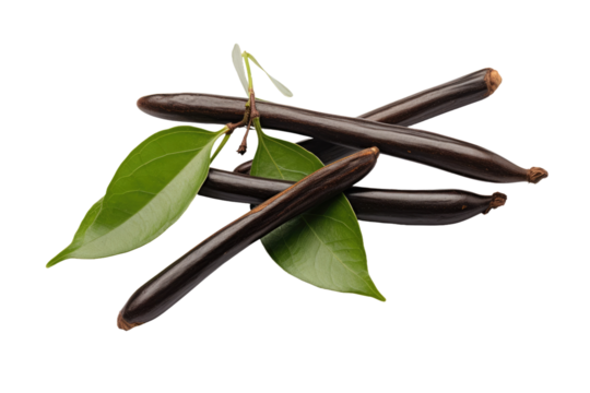 The Dance of Magical Beans on Transparent PNG Background.