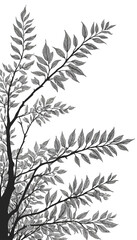 Fototapeta premium a black and white photo of a tree with leaves