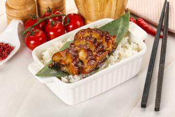 Grilled eel with steamed rice