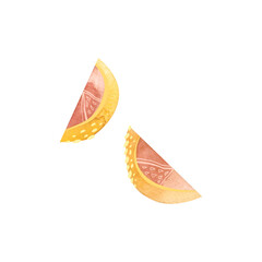 Two lemon slices in sketch style. Clipart. Isolated watercolor illustration on a white background for the design of tea shops, coffee shops, menus, sweets packaging