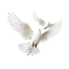 Obraz premium A group of white pigeons flying isolated on transparent background.