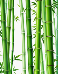 Obraz premium a group of green bamboo trees with leaves