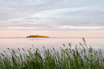 Lake reeds and a small island on a sunny and beautiful summer evening, Bothnian Bay, Finland