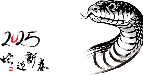Traditional Chinese Year of the Snake illustration vector 2025, Asian elements, ink style(Translation: Snake Zodiac 2025 Happy New Year)