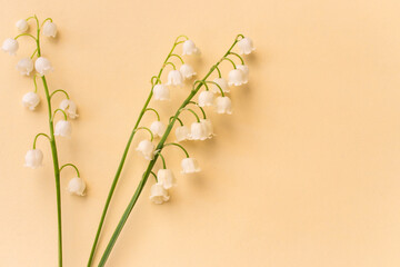 Lily of the valley on beige background with copy space. White tiny flowers on peach fuzz...