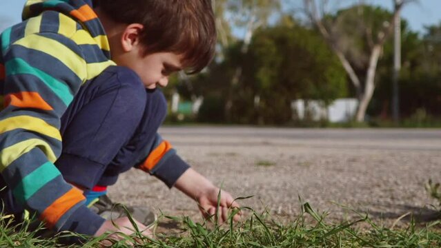 Ground level, closeup of caucasian kid, playing with soil in the fields. Slow motion 120fps