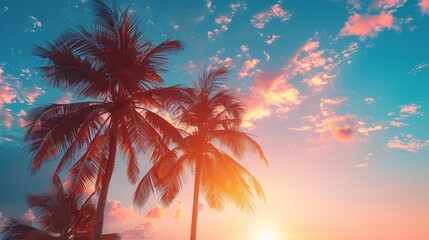 Tropical palm trees against a vibrant sunset