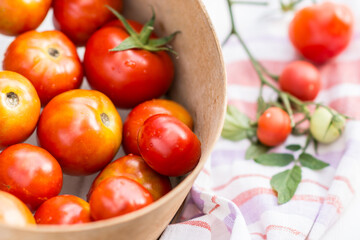 Ripe tomatoes in sieve, tomatoes are prepared for preparing preserves, eating,  cooking and food concept